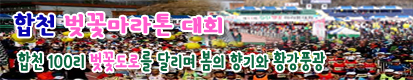 합천 벚꽃 마라톤대회 기사 바로가기